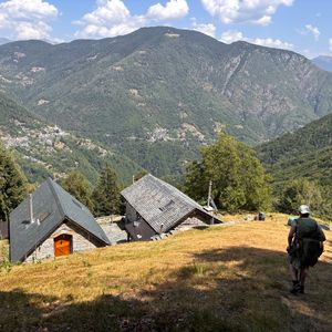 Arriving Alp